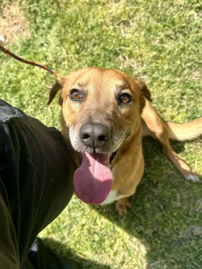 Da  Harry thumbnail 2