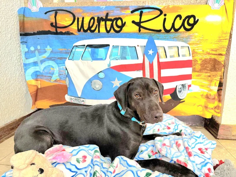 Kyle "your Loving Best thumbnail 2