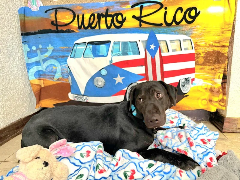 Kyle "your Loving Best thumbnail 3