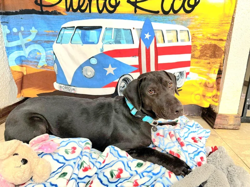 Kyle "your Loving Best thumbnail 5