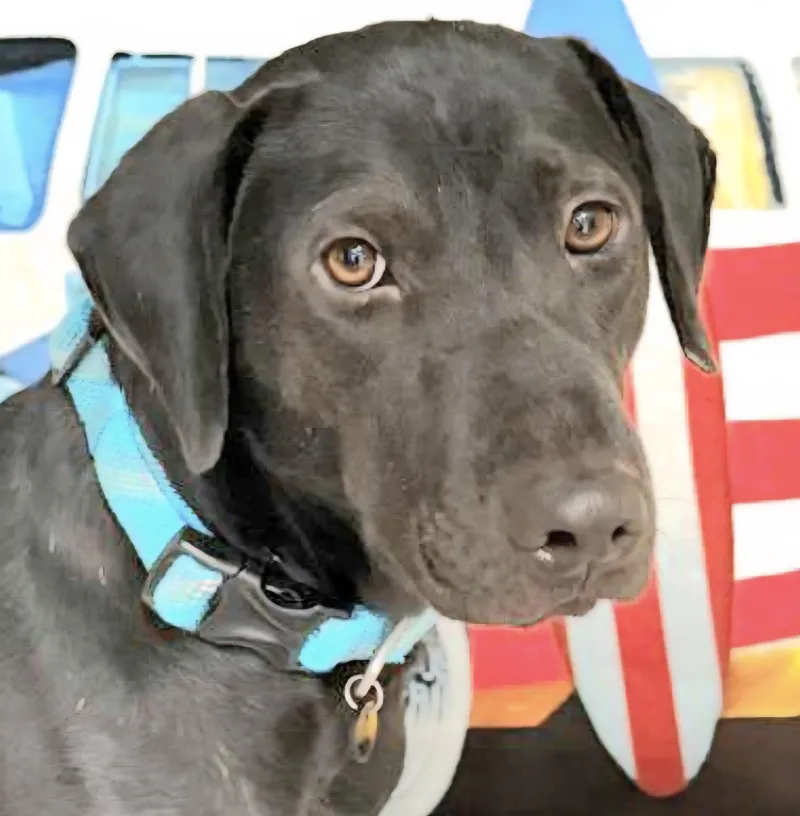 Kyle "your Loving Best