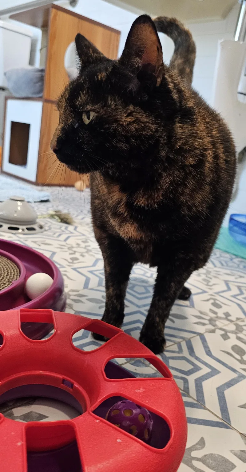 Hope Davis thumbnail 4