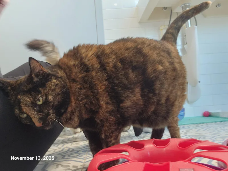 Hope Davis thumbnail 6