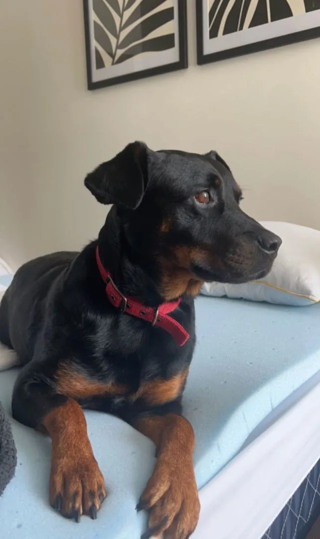 Kaylee $ thumbnail 3