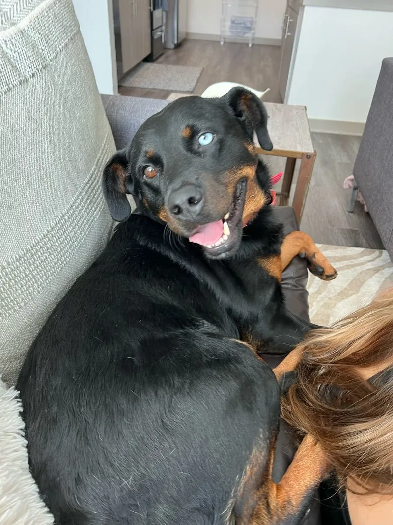 Kaylee $ thumbnail 6