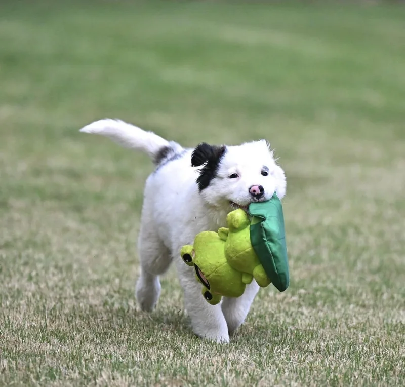 Marshmallow Sky thumbnail 2