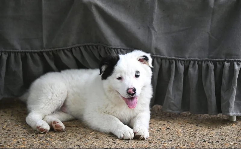 Marshmallow Sky thumbnail 3