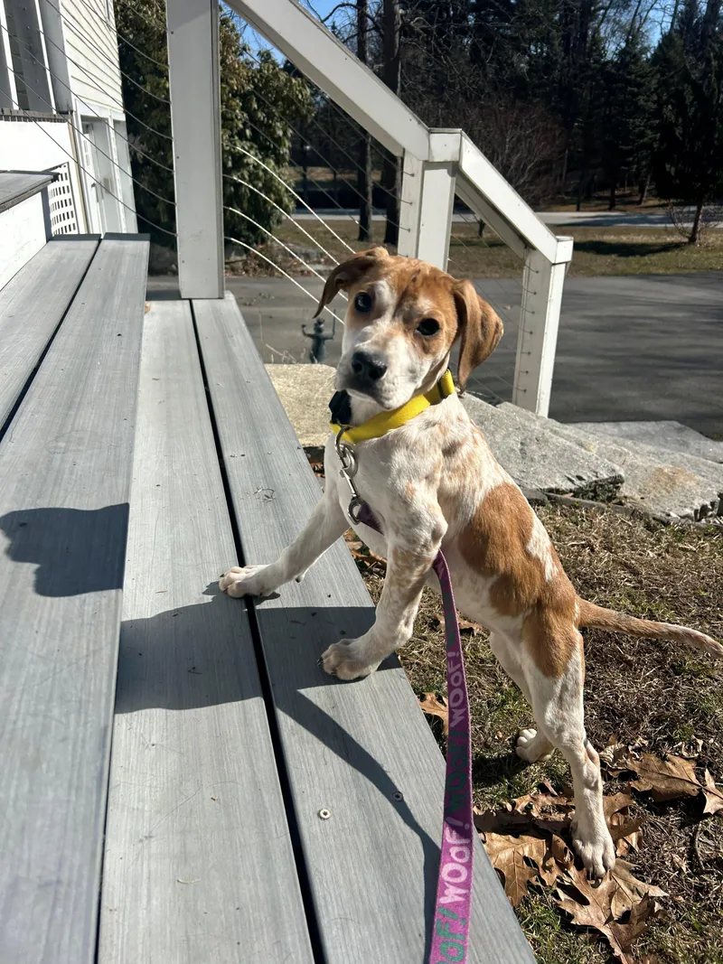 Lily Mae Green  thumbnail 2