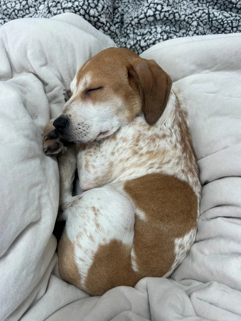 Lily Mae Green  thumbnail 3