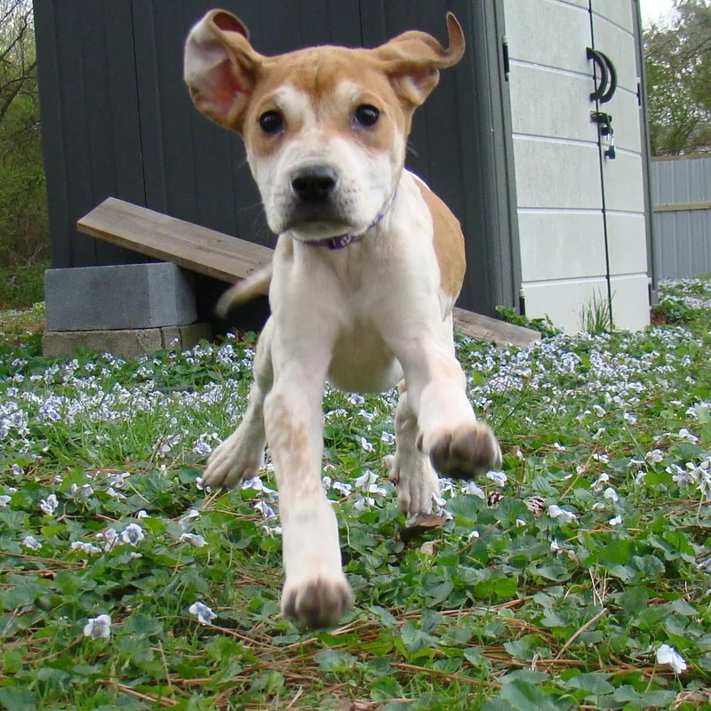 Lily Mae Green  thumbnail 4