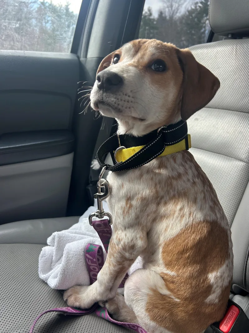 Lily Mae Green  thumbnail 5