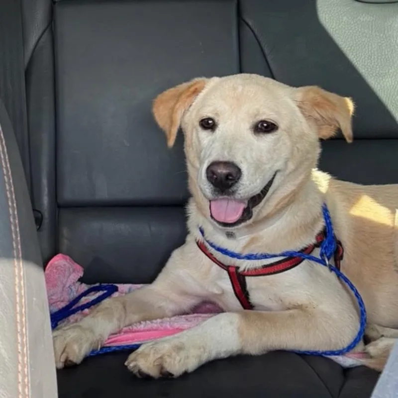 Maddie thumbnail 3