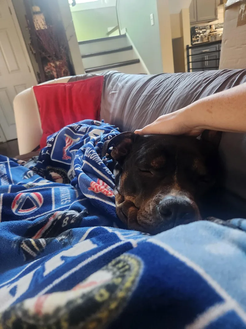Max