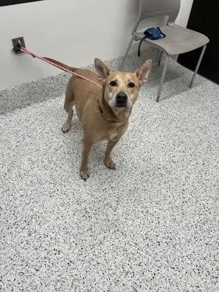 Penelope Caroline Jones