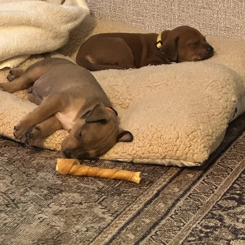 Michael Jackson thumbnail 2