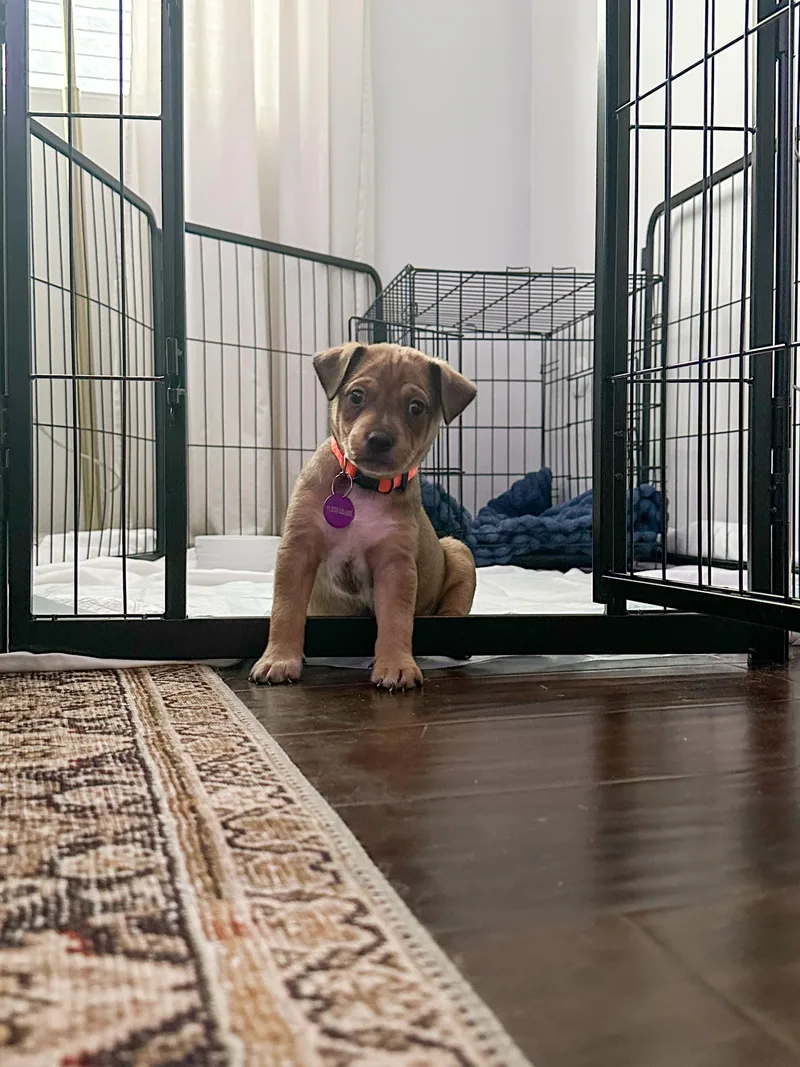 Michael Jackson thumbnail 3