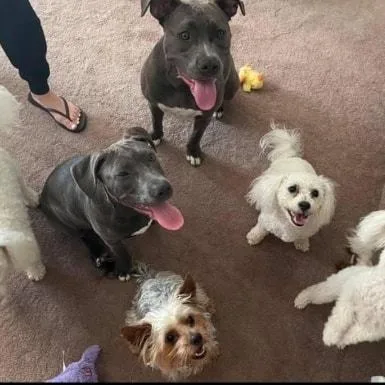 Remi & Rayne  thumbnail 2