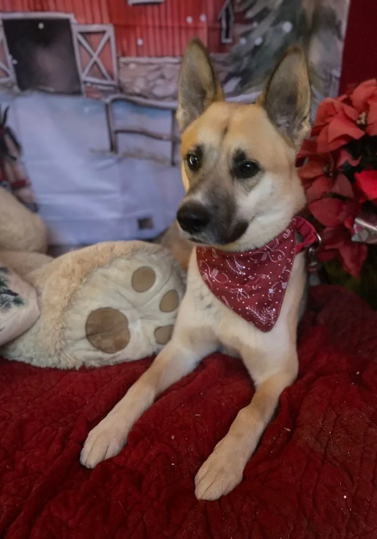 Beautiful Handsome Hocus The thumbnail 6