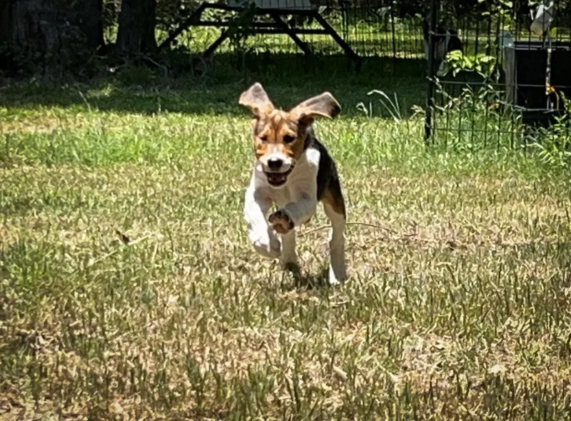 Ladyplayful! thumbnail 2