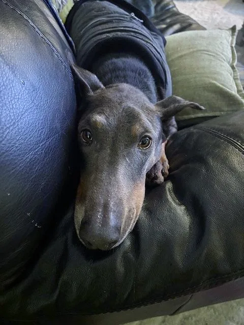 Grace And Willow thumbnail 2