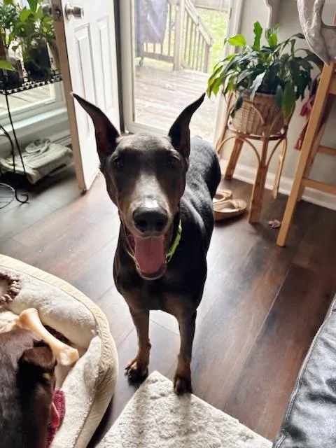 Grace And Willow thumbnail 3