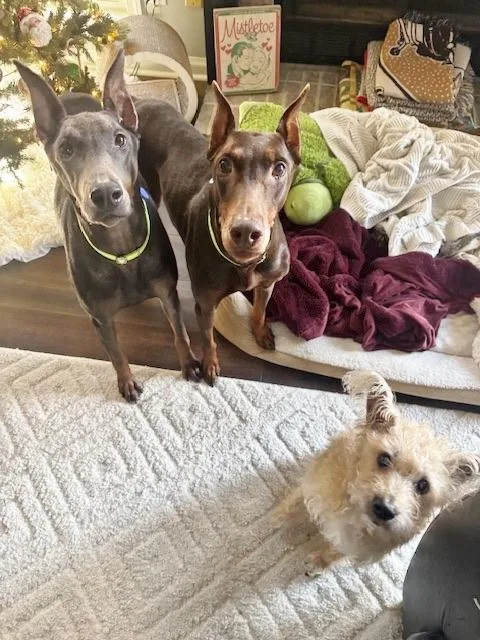 Grace And Willow thumbnail 4