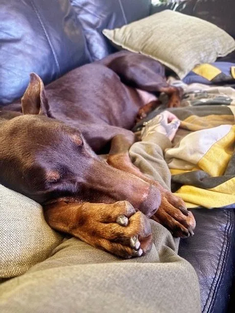 Grace And Willow thumbnail 5