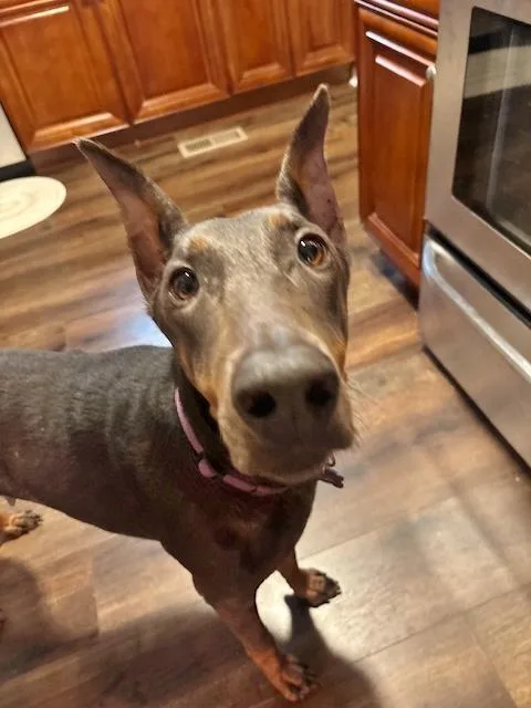 Grace And Willow thumbnail 6