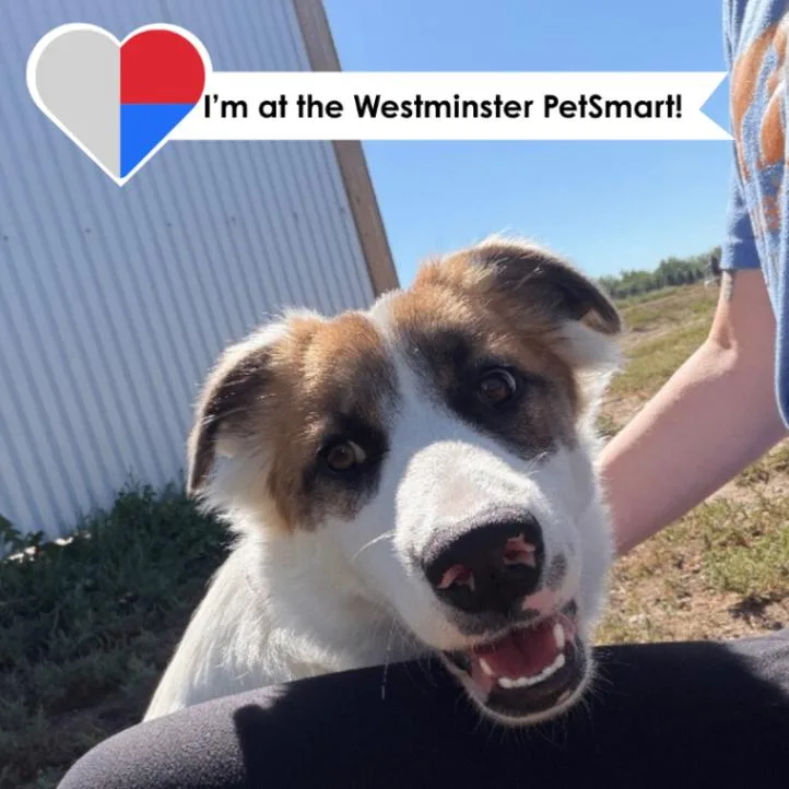Talkeetna thumbnail 4