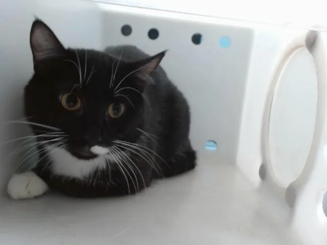 Max