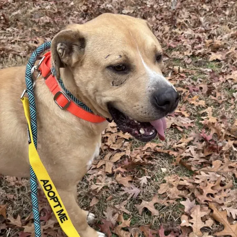 Powerade thumbnail 2