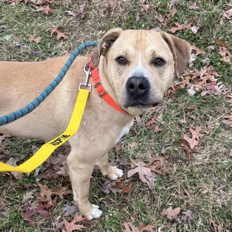 Powerade thumbnail 3