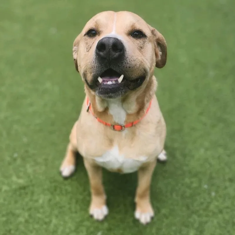 Powerade thumbnail 4