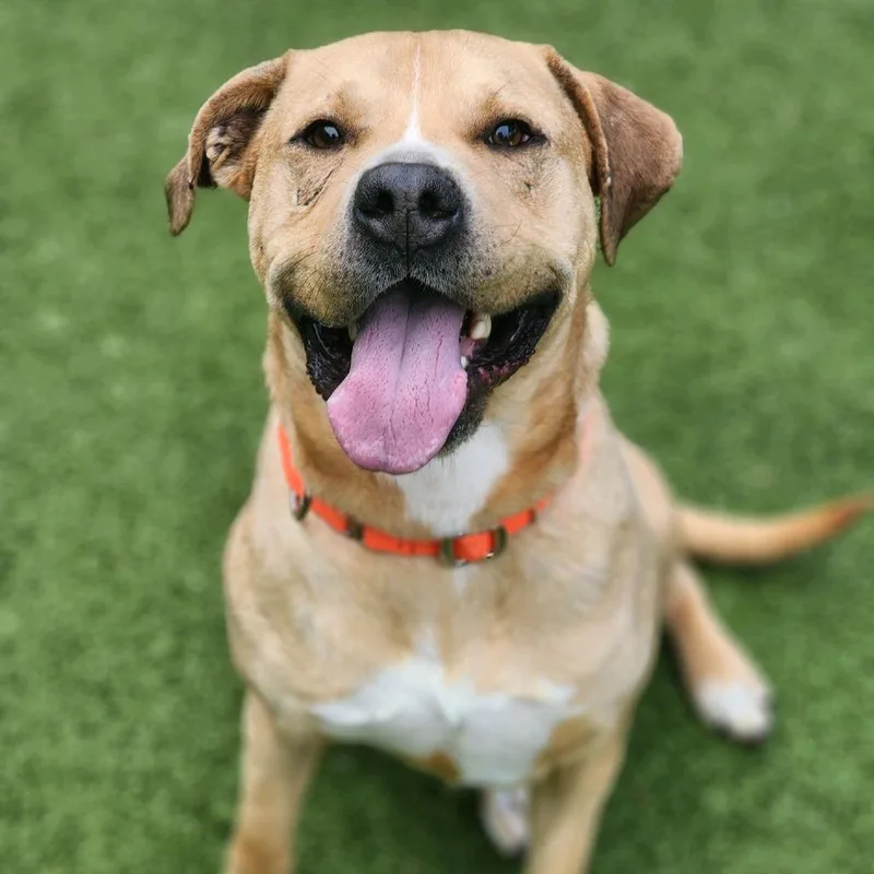 Powerade thumbnail 5