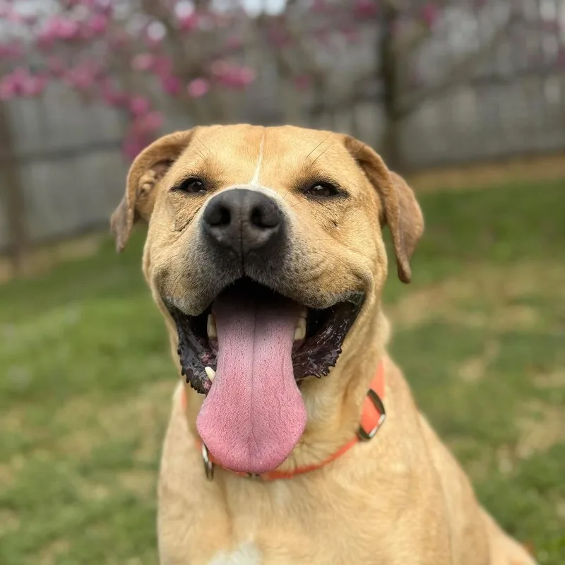 Powerade thumbnail 6