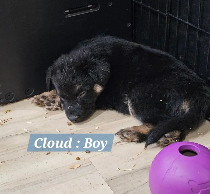 Cloudrocky thumbnail 2