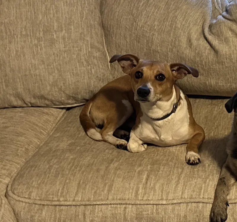 Jackson Jrt thumbnail 3