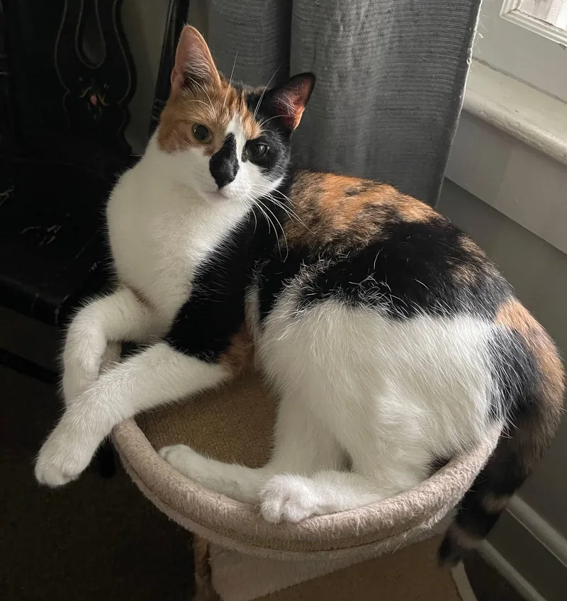 Mia And Miley thumbnail 2