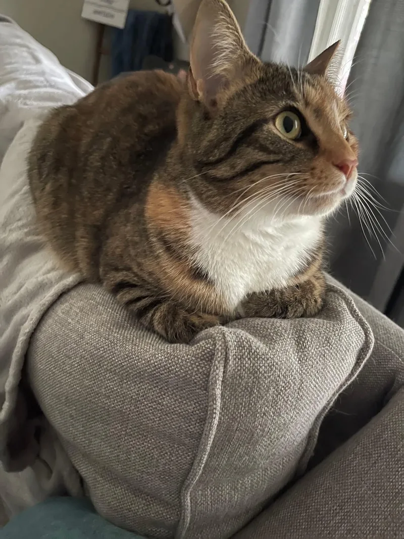 Mia And Miley thumbnail 3