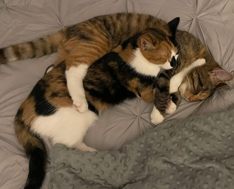 Mia And Miley thumbnail 4