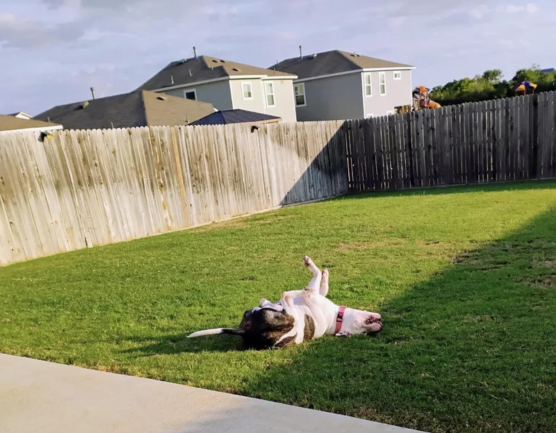 Tonya thumbnail 3