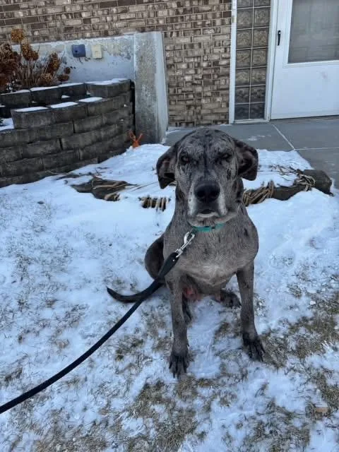 Maddie  Madison thumbnail 2