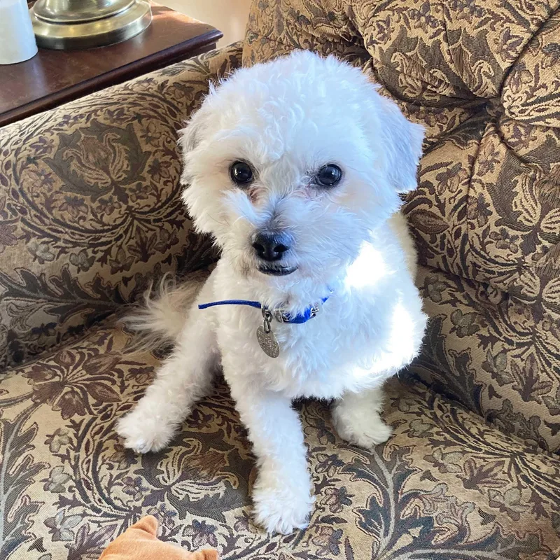 Billy