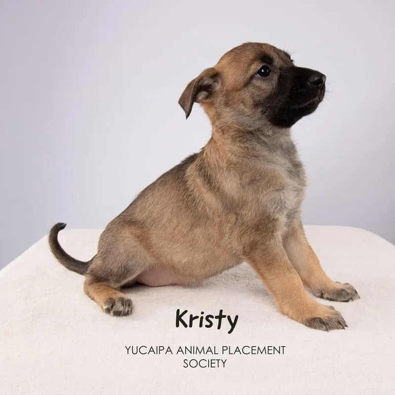 Kristy thumbnail 3