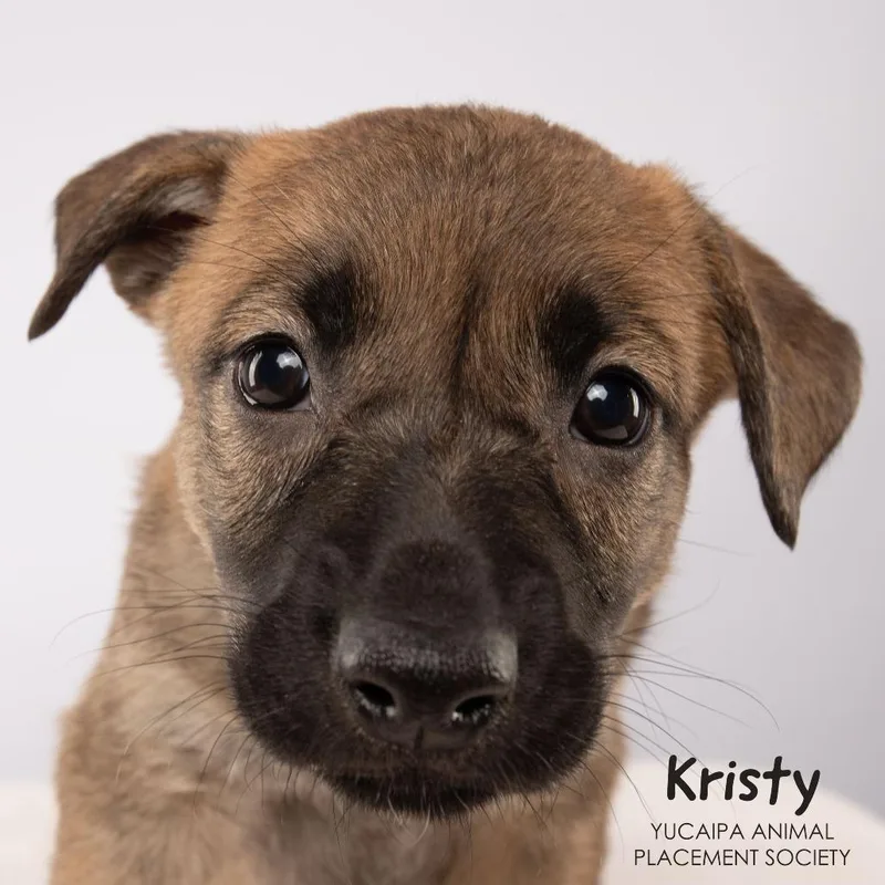 Kristy thumbnail 4