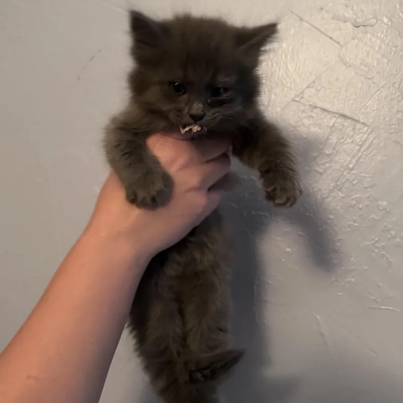 Winnie thumbnail 2