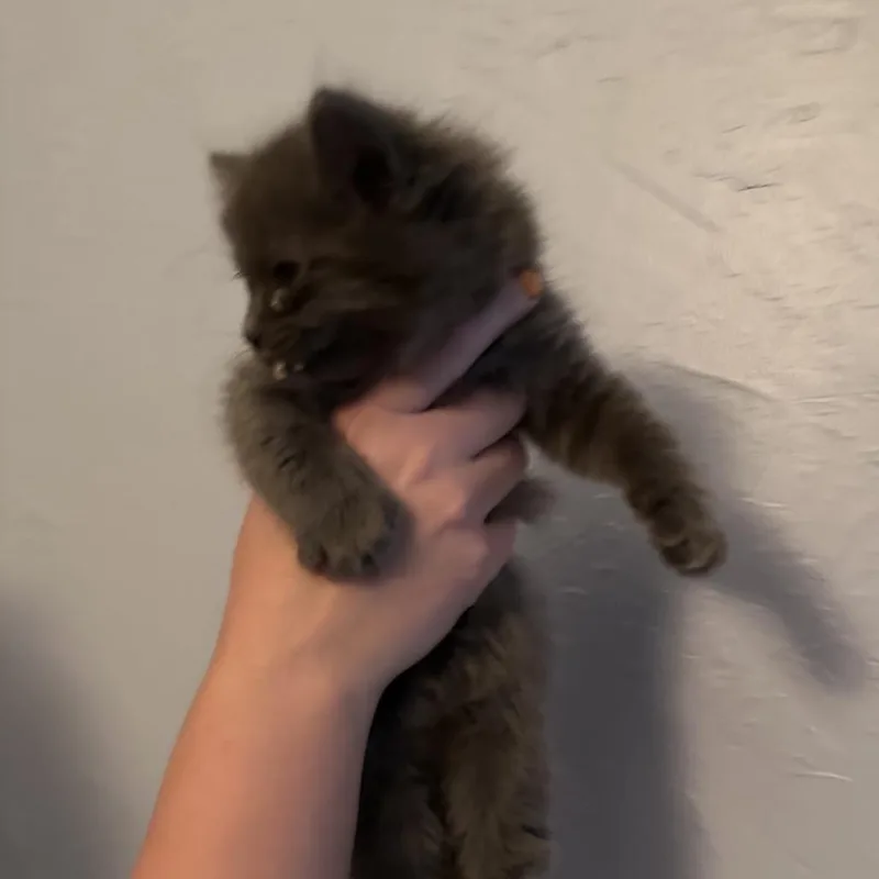 Winnie thumbnail 3