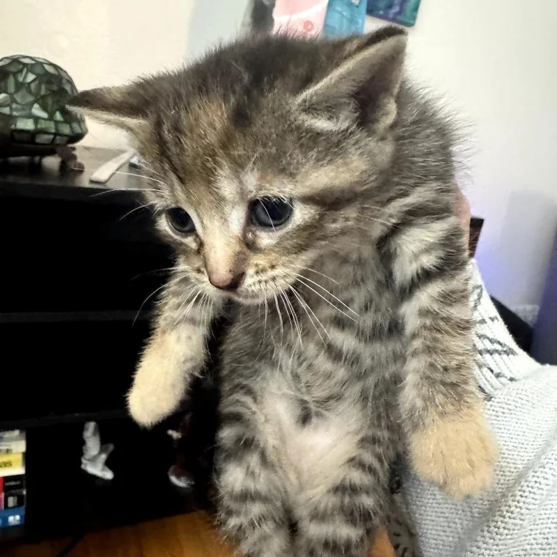 Caramel
