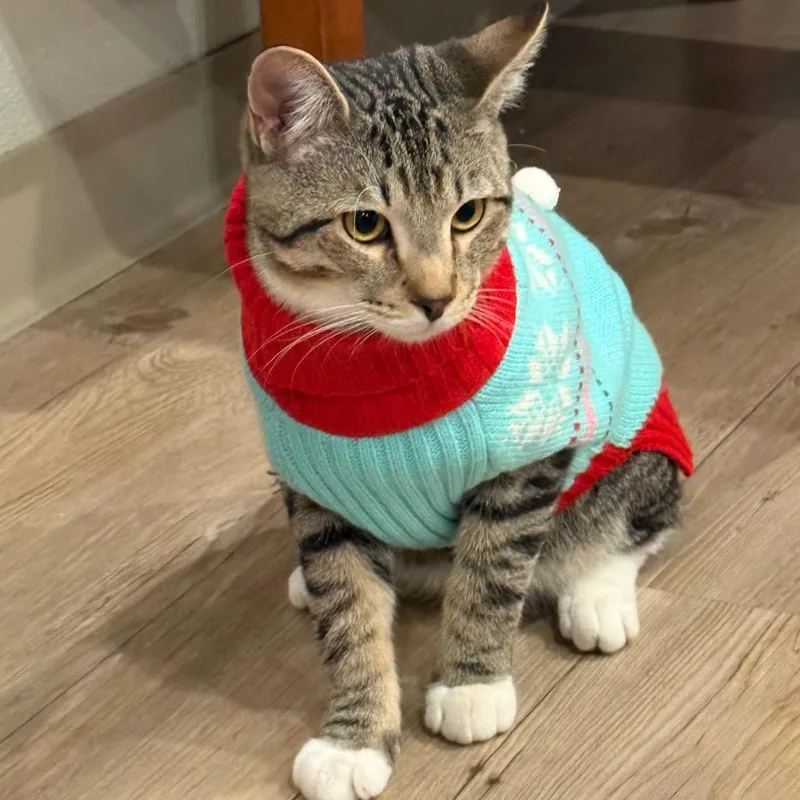 Edgar Allen Poe thumbnail 2