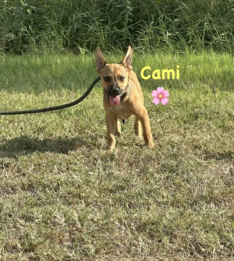 Cami thumbnail 2